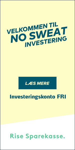Investeringskonto FRI Ung_Rise Sparekasse